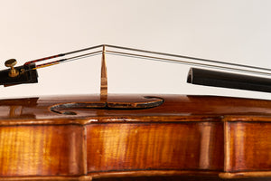 Viola instrument
