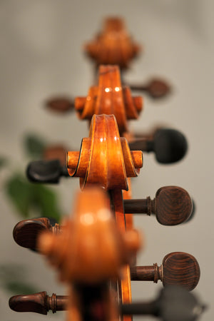 Instrument Violoncelle