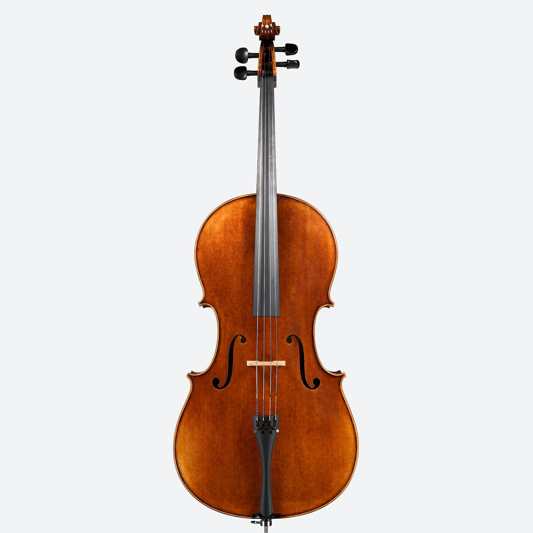 cello Hollow black electronic cello(EC002) - Buy Cello, electronic